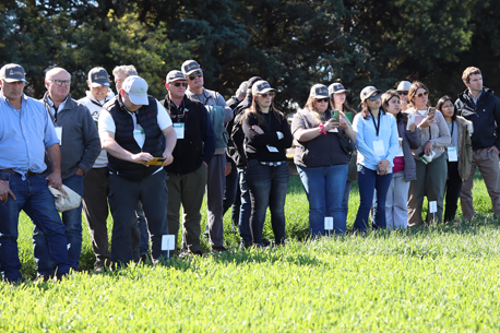 Imagen institucional